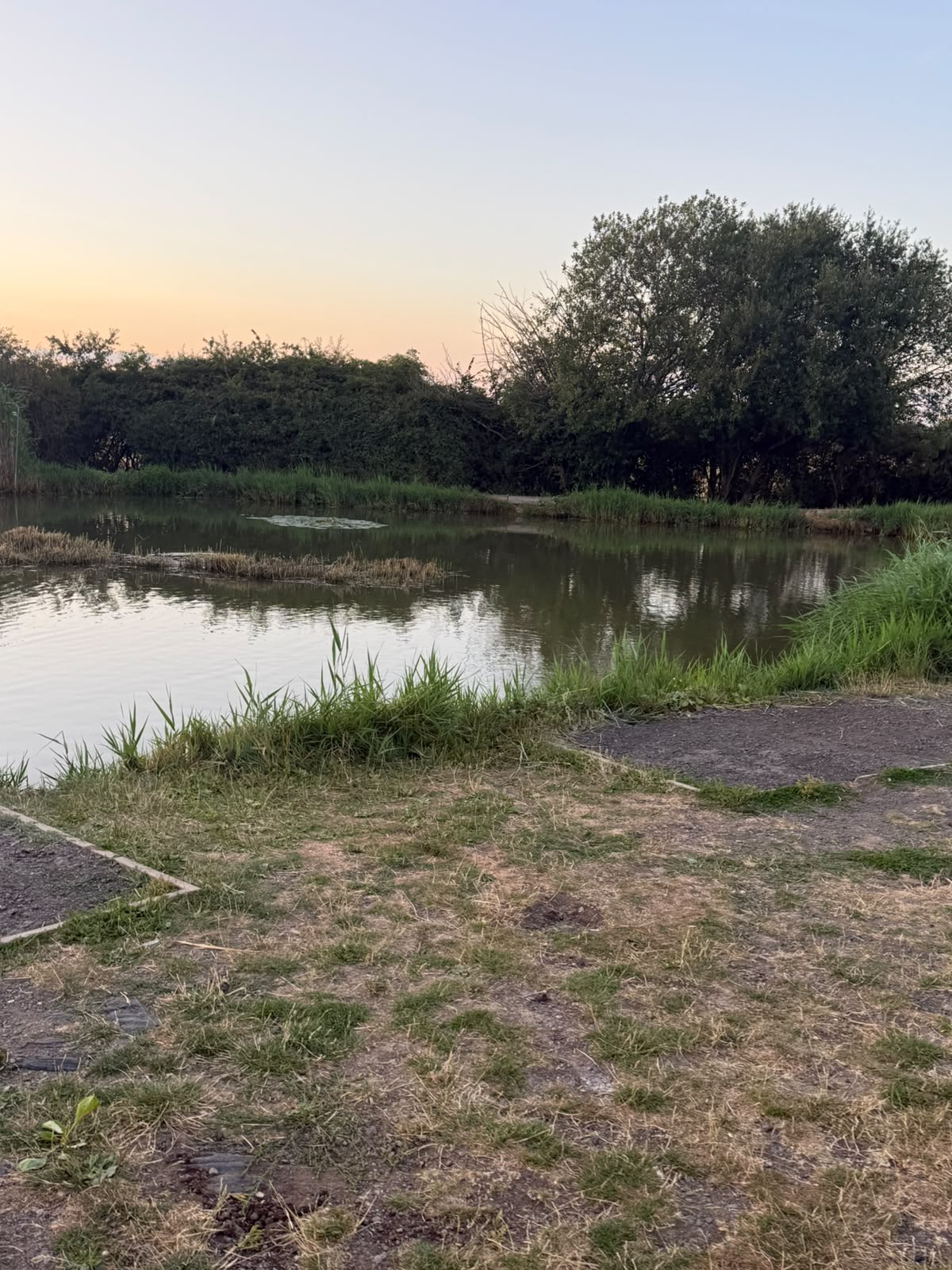 Cat lake swim 4