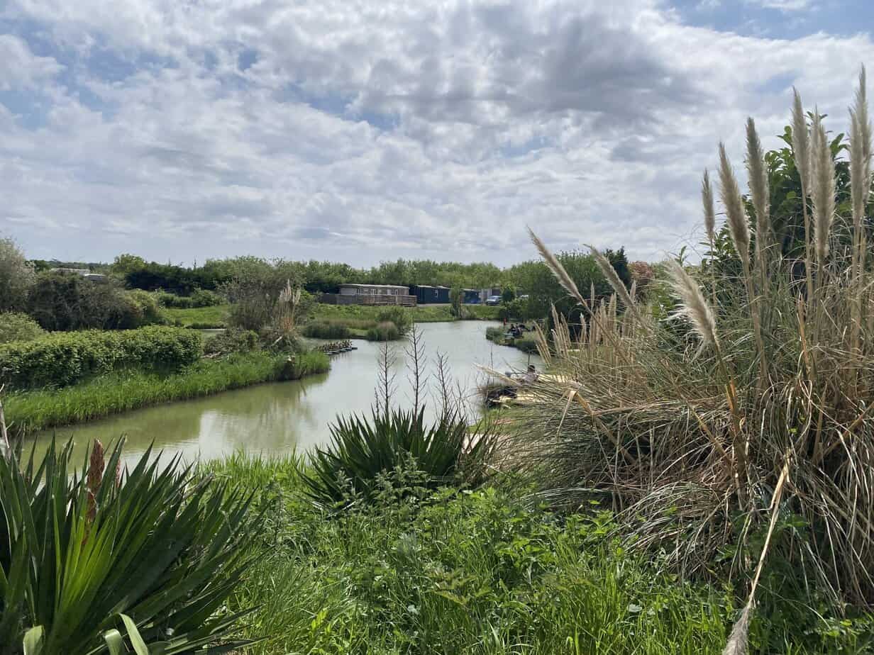 Cat Lake at Finch Farm Fishery